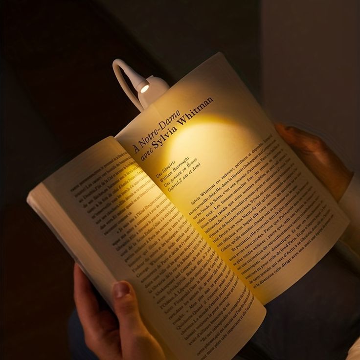 Immerse: Clip Book Reading Light