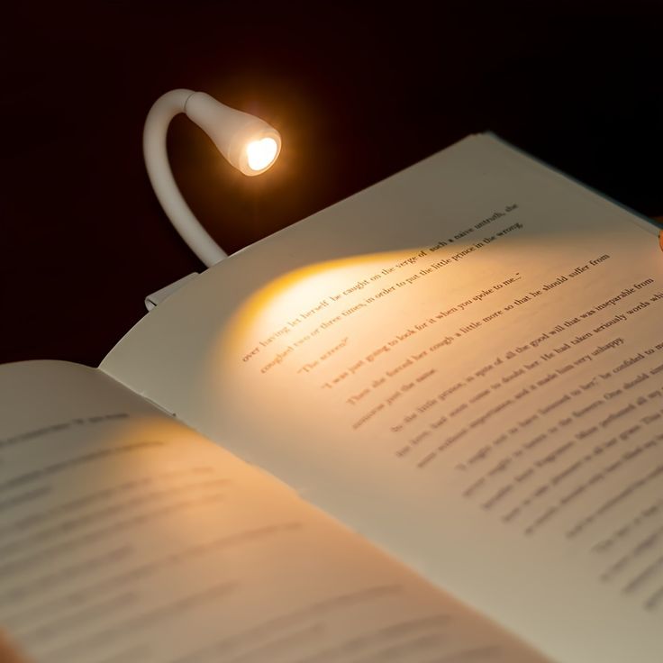 Immerse: Clip Book Reading Light - Image 3